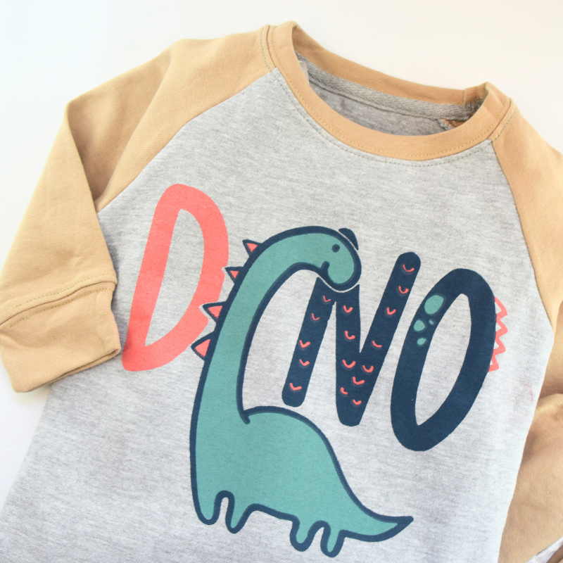 Dino Adventure Raglan Set