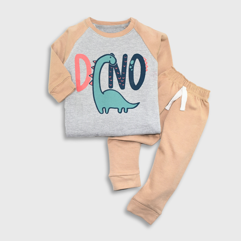 Dino Adventure Raglan Set