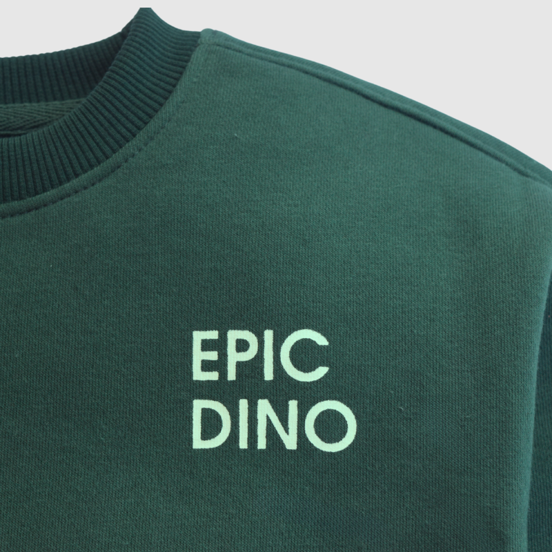 Epic Dino Fleece Set